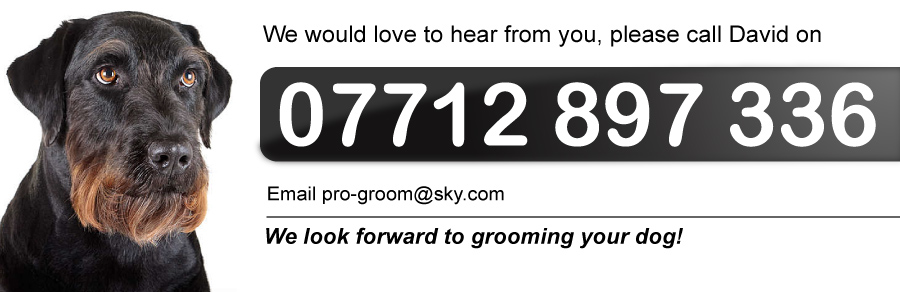 Dog Grooming Glasgow