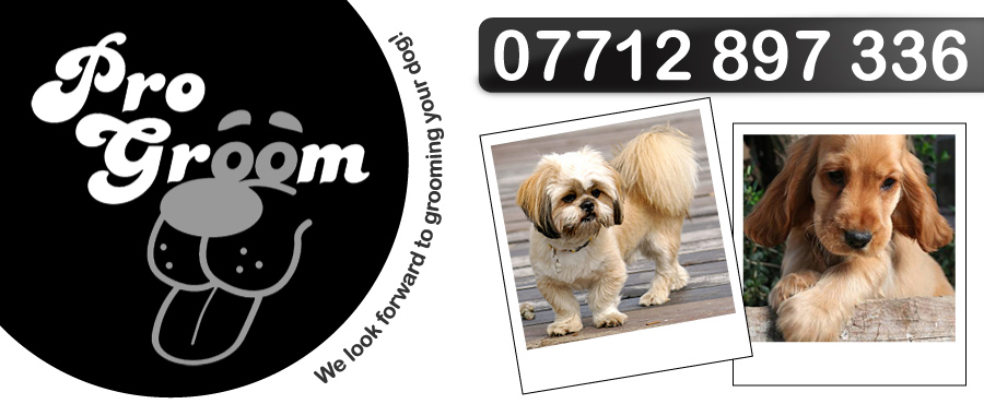 Pro Groom, Dog Grooming Glasgow